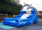 5m high cute dolphin kids inflatable water slide with pool meeting with EN14960 from China inflatable factory